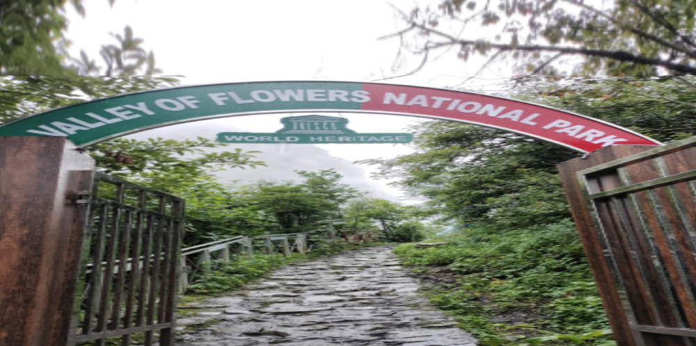 Valley of Flowers Trek